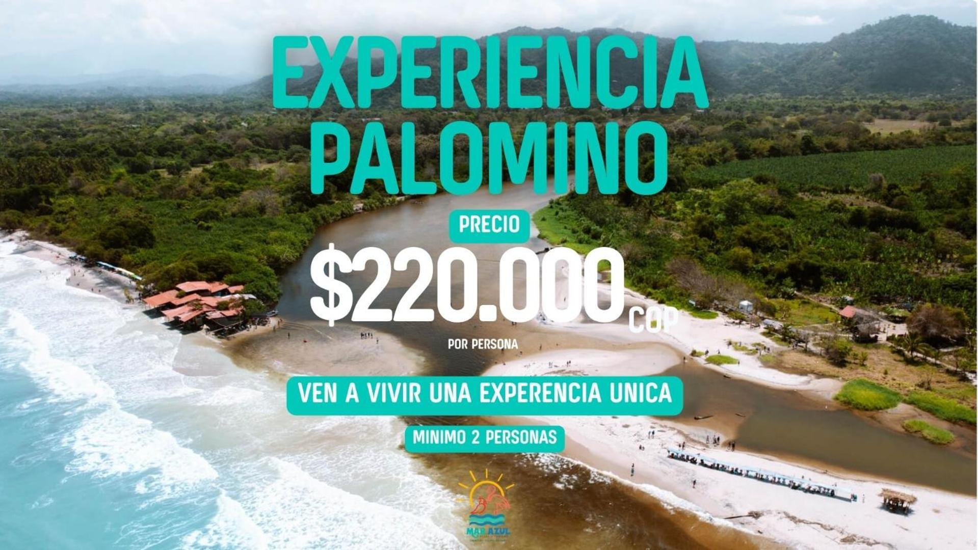 Villa Mar Azul - Playa Y Turismo à Camarones Extérieur photo